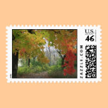 Autumn Color Postage stamps
