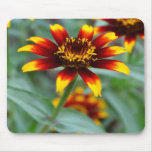 Autumn Colored Flower-0092 Mousepad