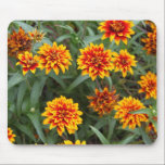 Autumn Colored Flowers mousepads