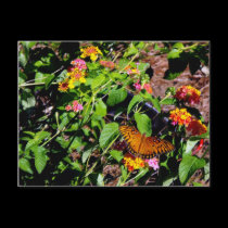 Autumn Colors-2 postcards