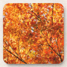 Autumn colors beverage coaster