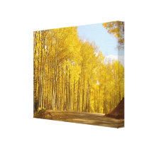 Autumn Colors Gallery Wrap Canvas