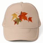 Autumn Colors Cap hats