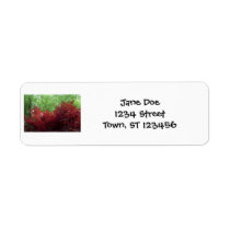 Autumn Colors Return Address Labels