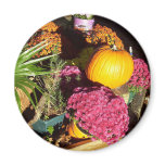 Autumn Colors Magnets