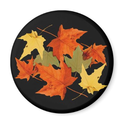Autumn Colors Magnet by Jaenne