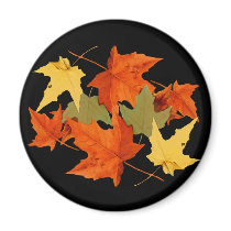 Autumn Colors Magnet by Jaenne Autumn Colors Magnet