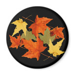 Autumn Colors Magnet