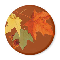 Autumn Colors Magnet