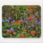 Autumn Colors mousepads