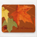 Autumn Colors Mousepad
