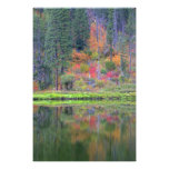 Autumn colors of forests in The Cascade 2 Photo Art