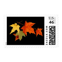 Autumn Colors Postage Stamp