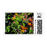 Autumn Colors Postage