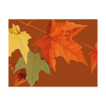 Autumn Colors Postcard by Jaenne Autumn Colors Postcard