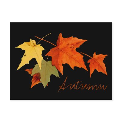 Autumn Colors Postcard by Jaenne