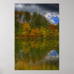 Autumn Colors Posters