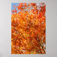 Autumn colors posters