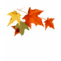 Autumn Colors Shirt by Jaenne Autumn Colors Shirt