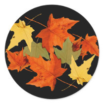 Autumn Colors Sticker by Jaenne Autumn Colors Sticker