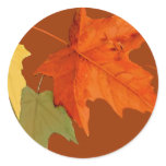 Autumn Colors Sticker