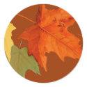 Autumn Colors Sticker by Jaenne Autumn Colors Sticker