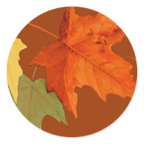 Autumn Colors Sticker