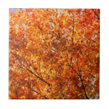 Autumn colors tile
