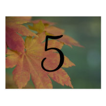 Autumn Colors Wedding Table Number Post Card