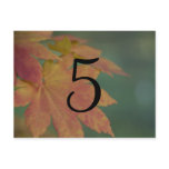 Autumn Colors Wedding Table Number Post Card