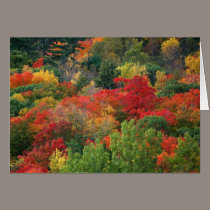Autumn Colours cards