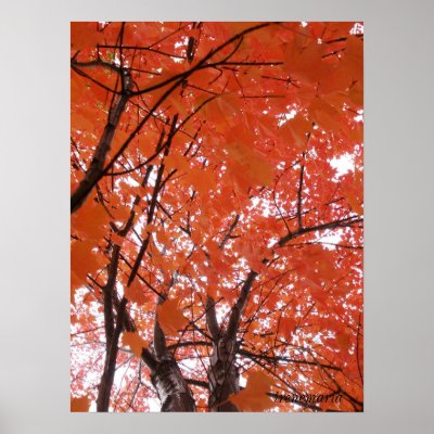 Autumn colours posters by irenemaria