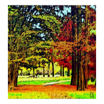 Autumn Colours posters by Ferrante52 Autumn Colours posters