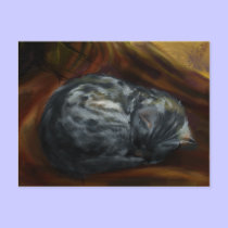 Autumn Colours: Sleeping Cat - postcard 2 postcards
