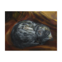 Autumn Colours: Sleeping Cat - postcard 2