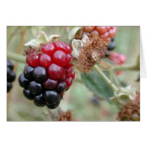 Autumn coming cards