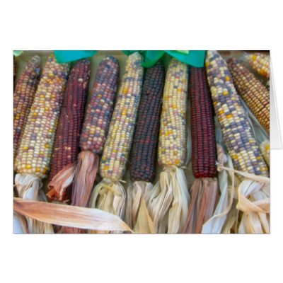 Autumn Corn Cards by DonnaGrayson