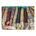 Autumn Corn cards
