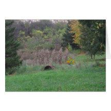 Autumn cornstalks cards