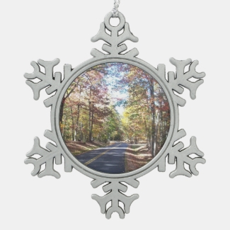 Autumn Country Road