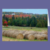 Autumn County cards