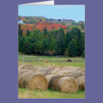 Autumn County cards