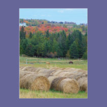Autumn County postcards