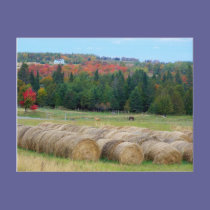 Autumn County postcards