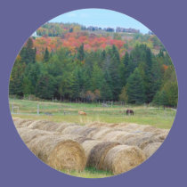 Autumn County stickers