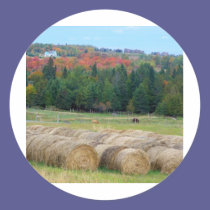 Autumn County stickers