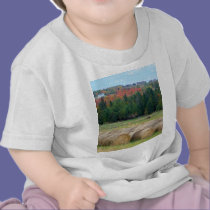 Autumn County t-shirts
