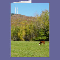 Autumn Cows cards