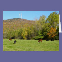 Autumn Cows cards