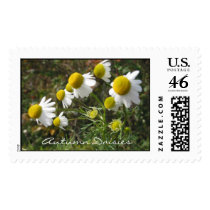 Autumn Daisies Postage Stamp